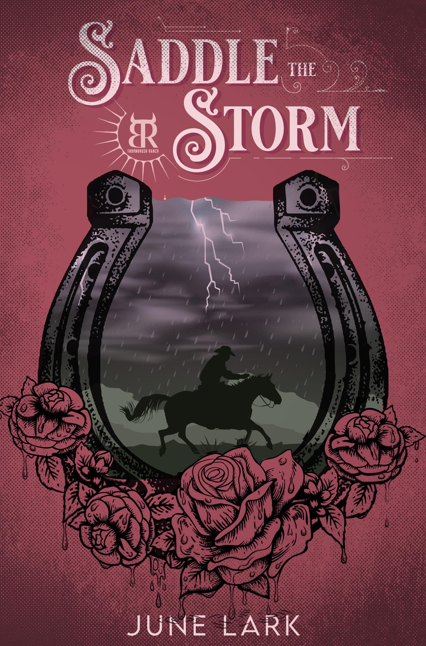 Saddle the Storm: An Annoyed to Lovers, Accidental Marriage Cowboy Romance with Suspense (Thornbrush Ranch, #3)
