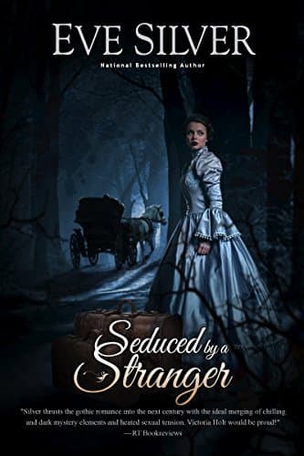 Seduced by a Stranger: Historical Gothic Mystery Romance (Dark Gothic)